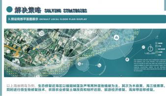 BLUE CARBON PLAN——碳中和背景下沿海盐沼和碳汇的保护