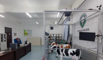 慧眼识牛——基于深度视觉的奶牛体况自动评分系统