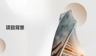 废墟之上的花
