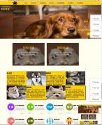 给“我”一个家