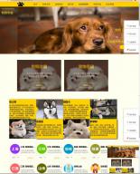 给“我”一个家