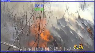 “火眼金睛”分布式智能视频图像火灾检测预警系统