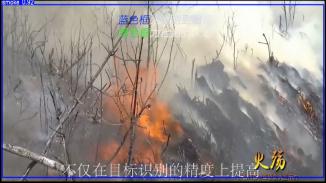 “火眼金睛”分布式智能视频图像火灾检测预警系统