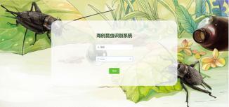 基于深度学习的害虫识别det小程序