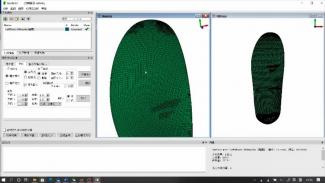 面向定制化运动装备3D打印的三维变形模拟系统(Insole3D)