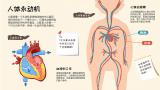 《我们身体里的秘密》