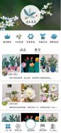 遇见花草app