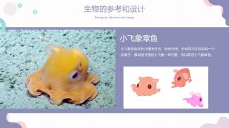 《小可与章鱼》儿童科普绘本