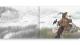 作品图片