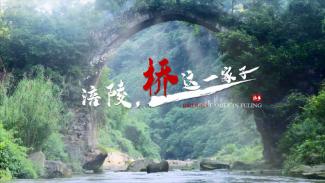 涪陵，桥这一家子
