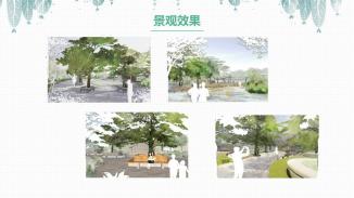 一时一心境，一花一世界——基于康养主题的综合公园