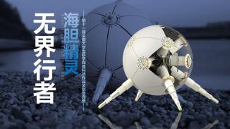 无界行者—海胆精灵
