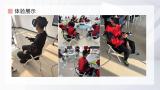 新民主主义革命100周年