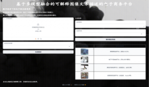 基于多模型融合的可解释图像文本描述模型——数字经济下的电子商务新视界