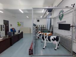 慧眼识牛——基于深度视觉的奶牛体况自动评分系统